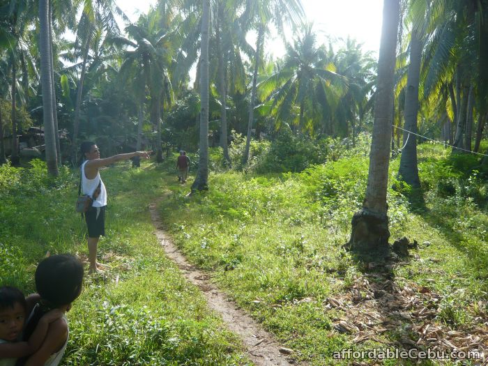 1st picture of Lot in Camotes Cebu For Sale in Cebu, Philippines
