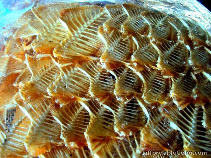 2nd picture of BANTAYAN DRIED FISH For Sale in Cebu, Philippines