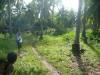 Lot in Camotes Cebu