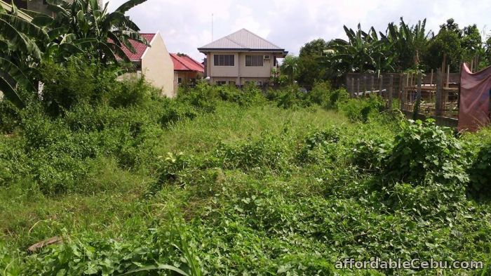 5th picture of Residential Lot in Talisay Cebu 7,000 per sqm. For Sale in Cebu, Philippines