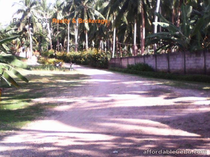 2nd picture of Beach Resort for sale in Tabuelan Cebu 3,692 sqm For Sale in Cebu, Philippines