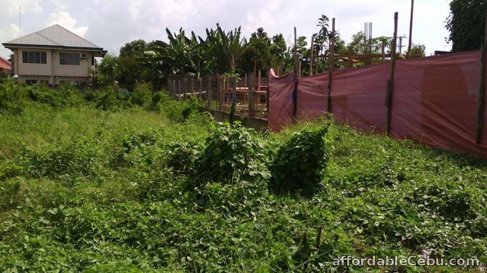 1st picture of Residential Lot in Talisay Cebu 7,000 per sqm. For Sale in Cebu, Philippines