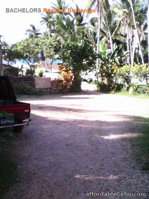 4th picture of Beach Resort for sale in Tabuelan Cebu 3,692 sqm For Sale in Cebu, Philippines