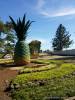 3D2N CDO-Bukidnon Tour Package 2014