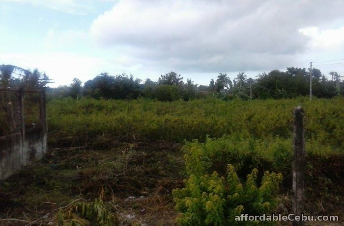 3rd picture of 28 hectares lot for sale For Sale in Cebu, Philippines