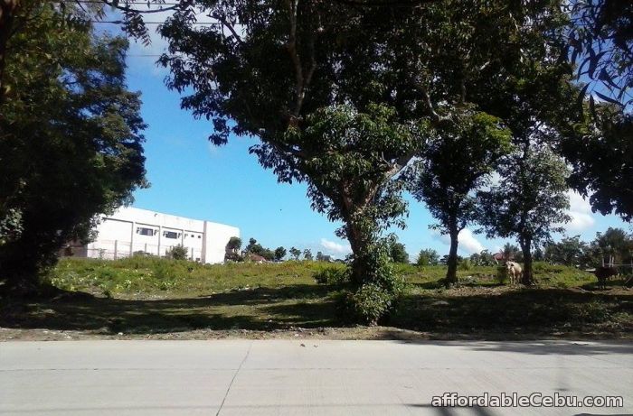 2nd picture of Lot for sale For Sale in Cebu, Philippines