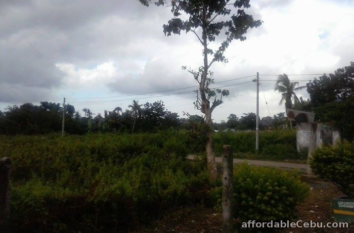 2nd picture of 28 hectares lot for sale For Sale in Cebu, Philippines