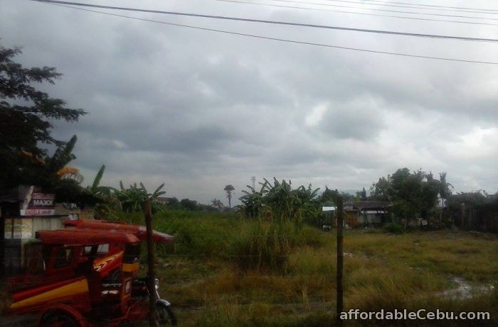 1st picture of Commercial/Industrial lot for sale For Sale in Cebu, Philippines