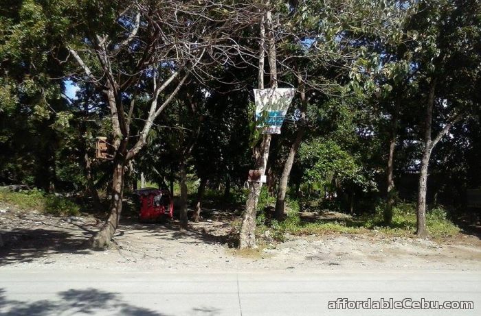 1st picture of Commercial/Industrial lot for sale For Sale in Cebu, Philippines