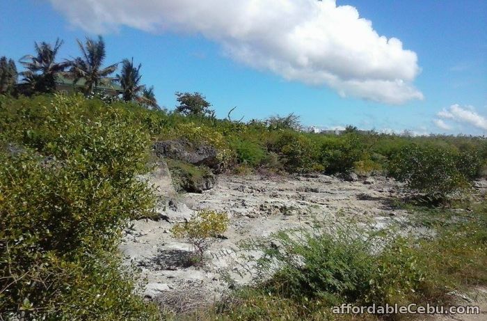 3rd picture of Beach lot for sale For Sale in Cebu, Philippines