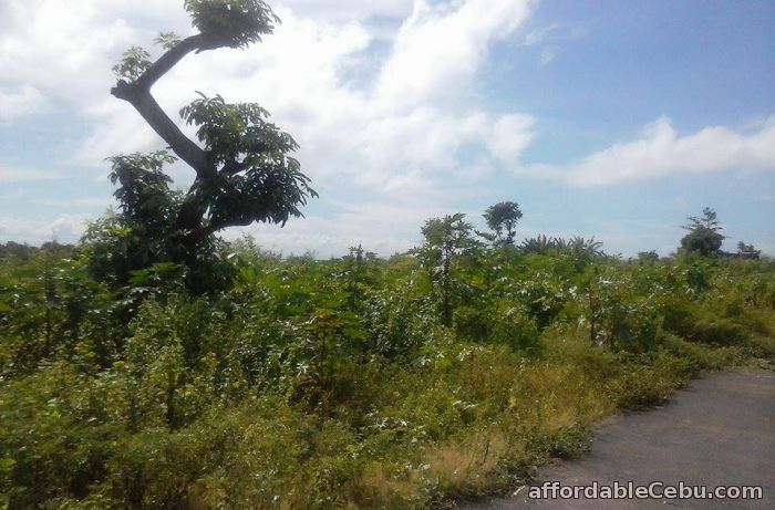 1st picture of Commercial lot for sale For Sale in Cebu, Philippines