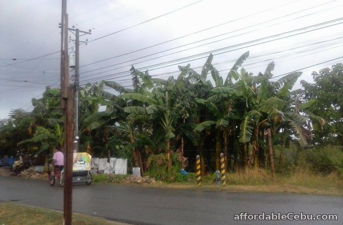 3rd picture of Commercial/Industrial lot for sale For Sale in Cebu, Philippines