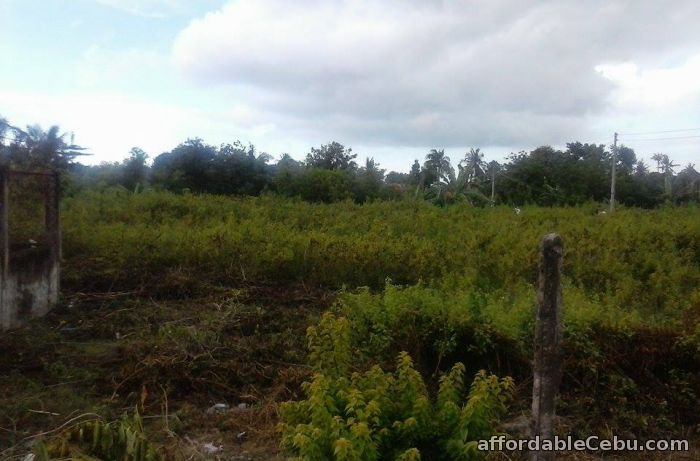 1st picture of 28 hectares lot for sale For Sale in Cebu, Philippines