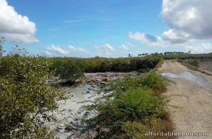 2nd picture of Beach lot for sale For Sale in Cebu, Philippines