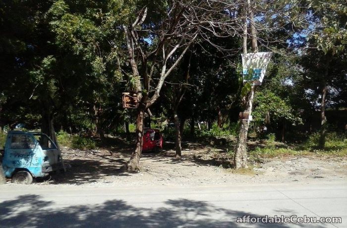 2nd picture of Commercial/Industrial lot for sale For Sale in Cebu, Philippines