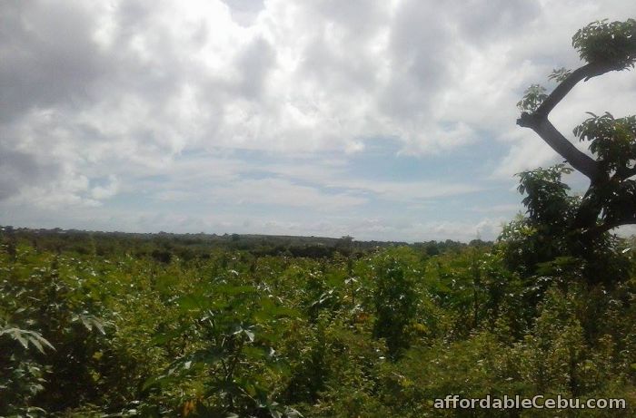 3rd picture of Commercial lot for sale For Sale in Cebu, Philippines