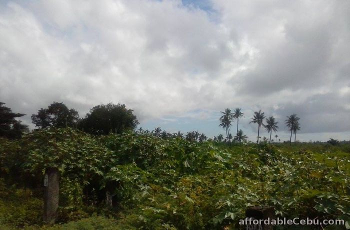 2nd picture of Commercial lot for sale For Sale in Cebu, Philippines