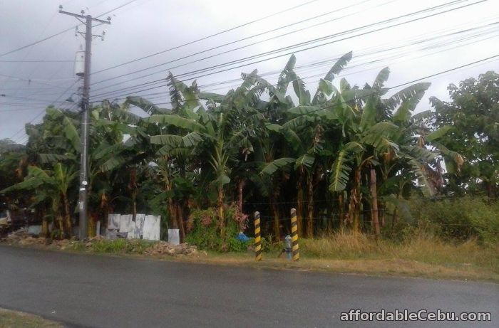 2nd picture of Commercial/Industrial lot for sale For Sale in Cebu, Philippines