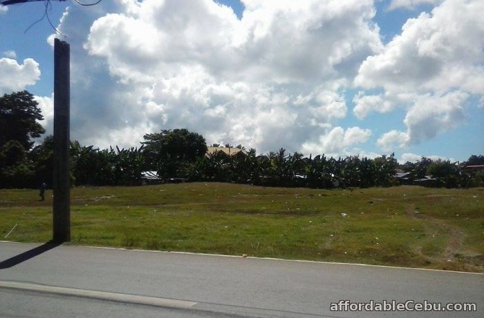 2nd picture of Commercial lot for sale For Sale in Cebu, Philippines