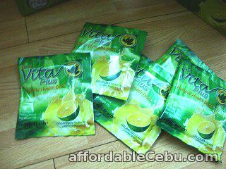 3rd picture of First Vita Plus Dalandan Juice Health Drink For Sale in Cebu, Philippines