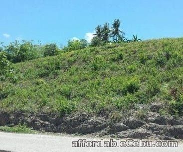 2nd picture of Subdivide lot for sale in liloan For Sale in Cebu, Philippines