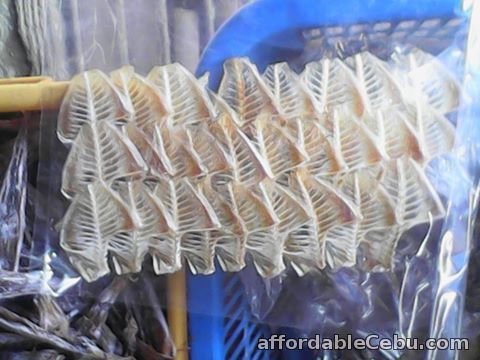 4th picture of CEBU DRIED FISH For Sale in Cebu, Philippines