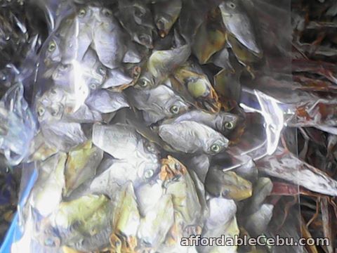 1st picture of CEBU DRIED FISH For Sale in Cebu, Philippines