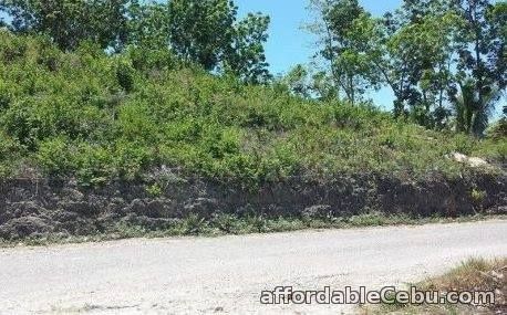 1st picture of Subdivide lot for sale in liloan For Sale in Cebu, Philippines