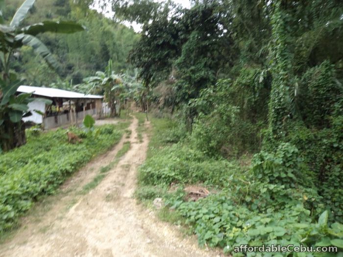 2nd picture of 490 sqm lot for sale in liloan For Sale in Cebu, Philippines