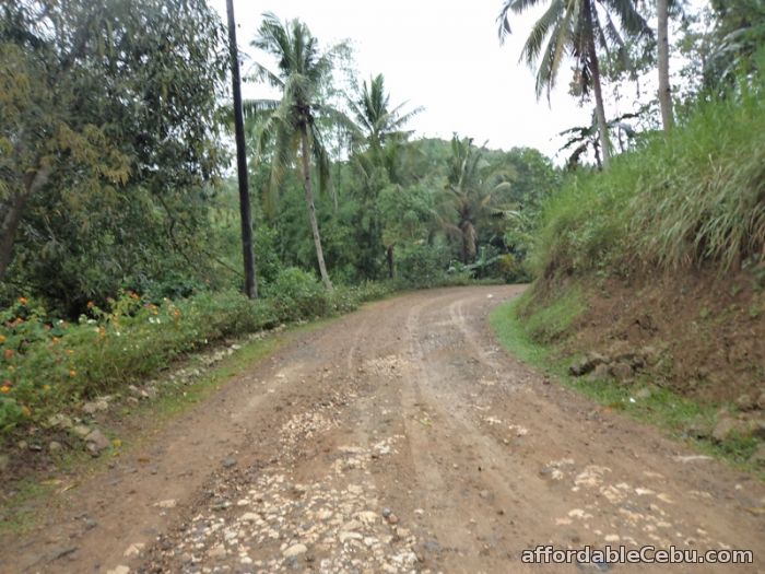 3rd picture of 3,886 sqm lot for sale in sn roque liloan For Sale in Cebu, Philippines
