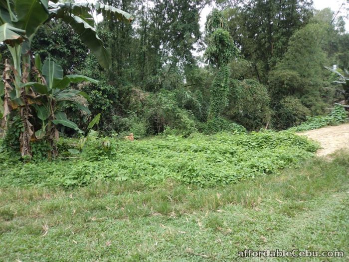 1st picture of 490 sqm lot for sale in liloan For Sale in Cebu, Philippines