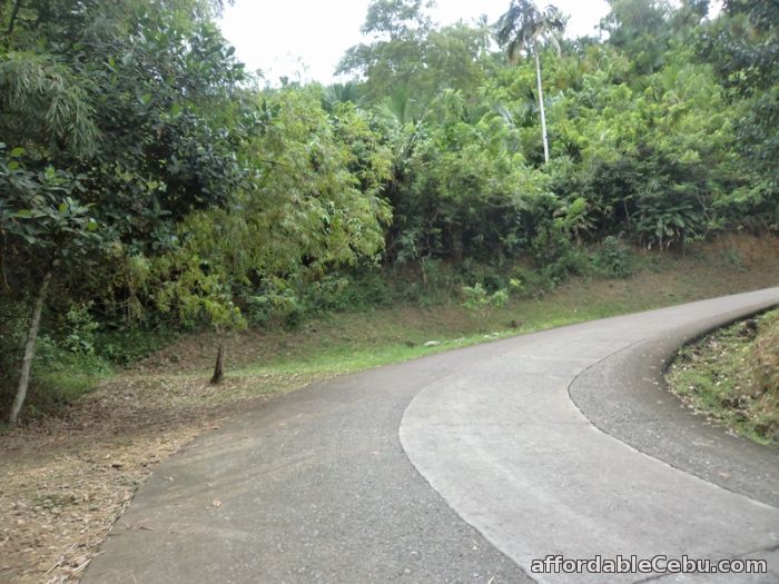 2nd picture of 21,094 sqm lot for sale in sn roque liloan For Sale in Cebu, Philippines