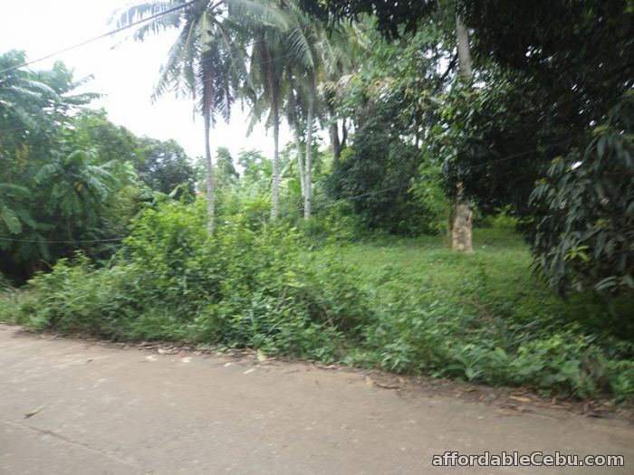1st picture of 13,021 sqm lot for sale in liloan For Sale in Cebu, Philippines