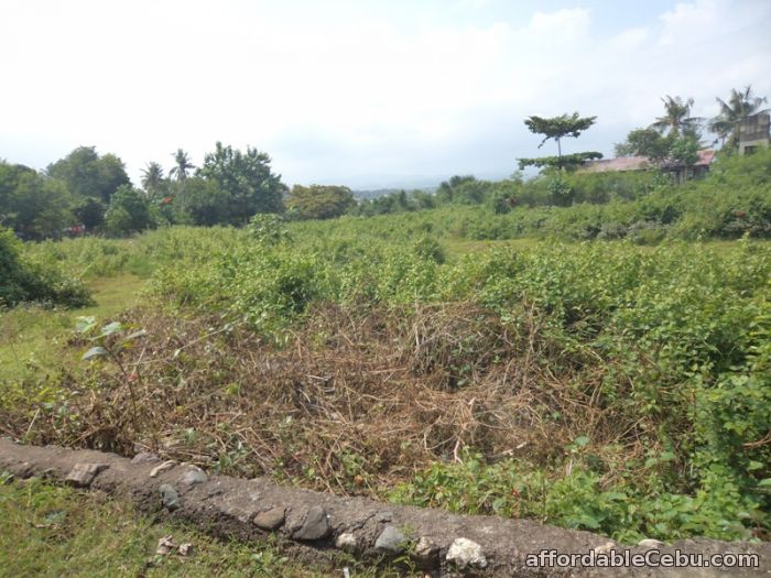 1st picture of 1,478 sqm lot for sale in liloan For Sale in Cebu, Philippines