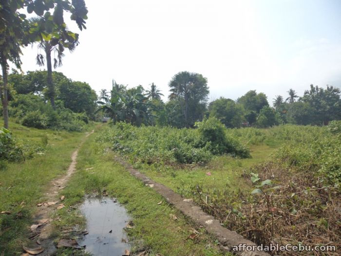 2nd picture of 1,478 sqm lot for sale in liloan For Sale in Cebu, Philippines