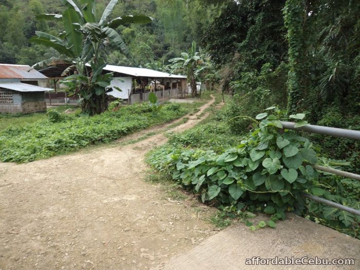 4th picture of 490 sqm lot for sale in liloan For Sale in Cebu, Philippines
