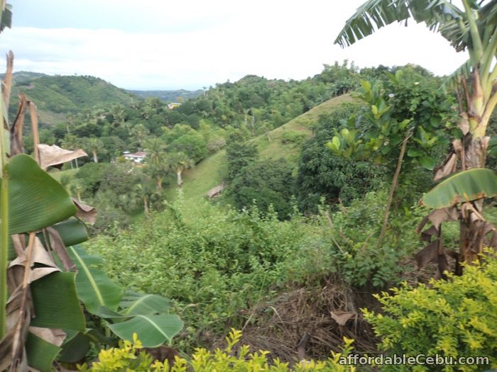 2nd picture of 7,370  sqm lot for sale sn roque liloan For Sale in Cebu, Philippines