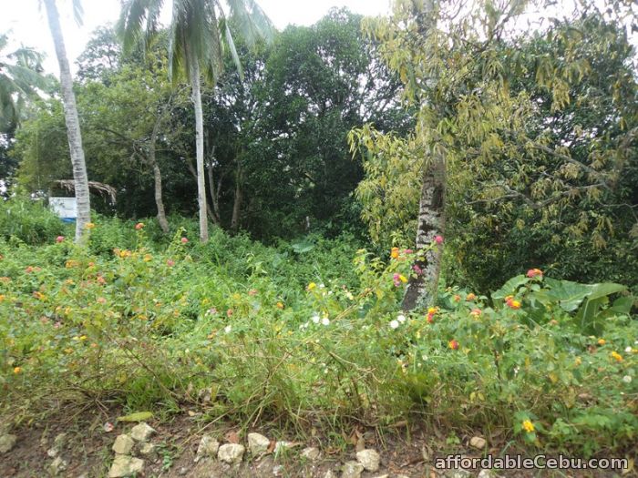 1st picture of 3,886 sqm lot for sale in sn roque liloan For Sale in Cebu, Philippines