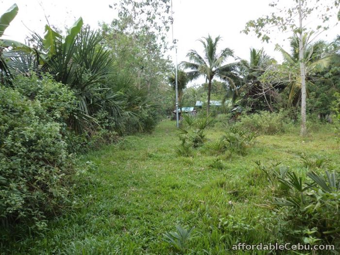 4th picture of 400 sqm lot for sale in consolacion For Sale in Cebu, Philippines