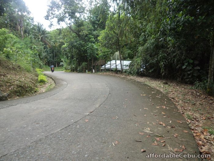3rd picture of 21,094 sqm lot for sale in sn roque liloan For Sale in Cebu, Philippines