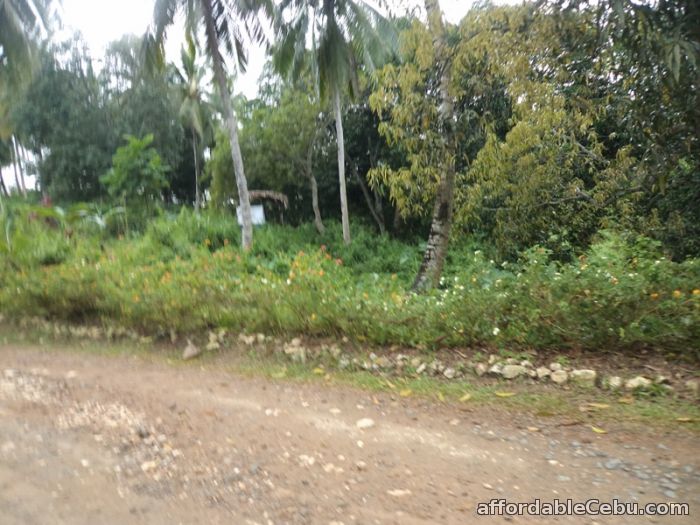 2nd picture of 3,886 sqm lot for sale in sn roque liloan For Sale in Cebu, Philippines