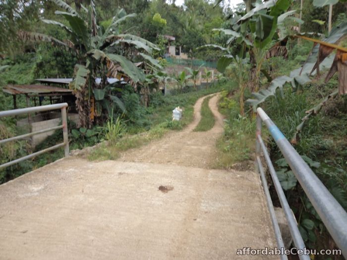 3rd picture of 490 sqm lot for sale in liloan For Sale in Cebu, Philippines