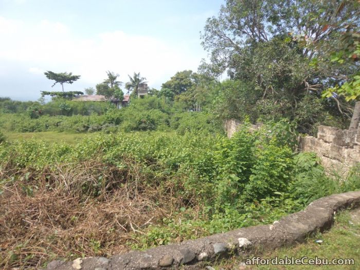 3rd picture of 1,478 sqm lot for sale in liloan For Sale in Cebu, Philippines