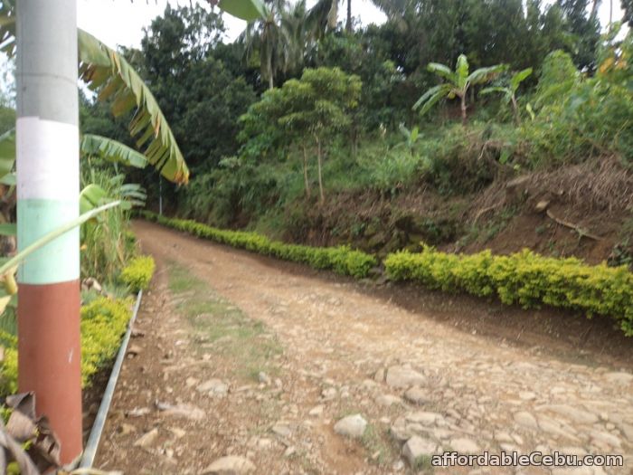 3rd picture of 7,370  sqm lot for sale sn roque liloan For Sale in Cebu, Philippines