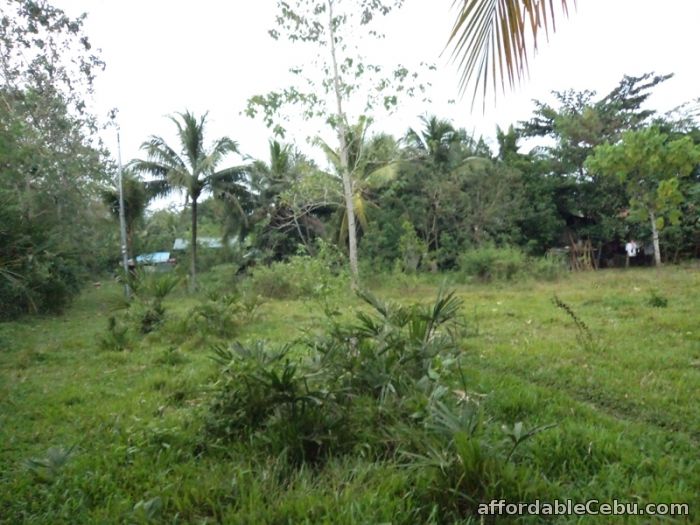 3rd picture of 400 sqm lot for sale in consolacion For Sale in Cebu, Philippines
