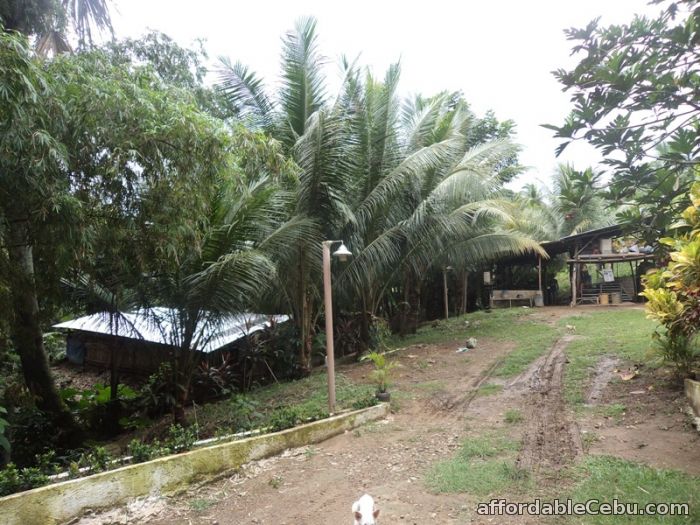 1st picture of 21,094 sqm lot for sale in sn roque liloan For Sale in Cebu, Philippines