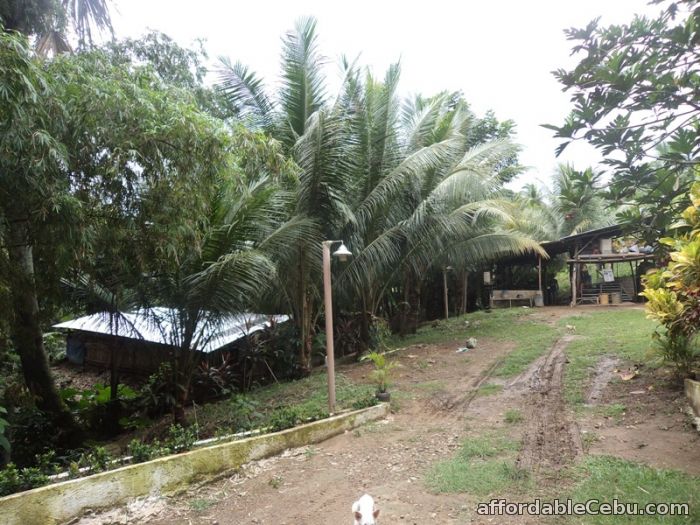 21,094 sqm lot for sale in sn roque liloan For Sale Liloan Cebu