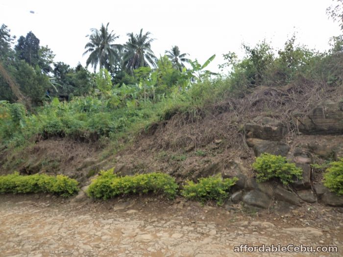 1st picture of 7,370  sqm lot for sale sn roque liloan For Sale in Cebu, Philippines