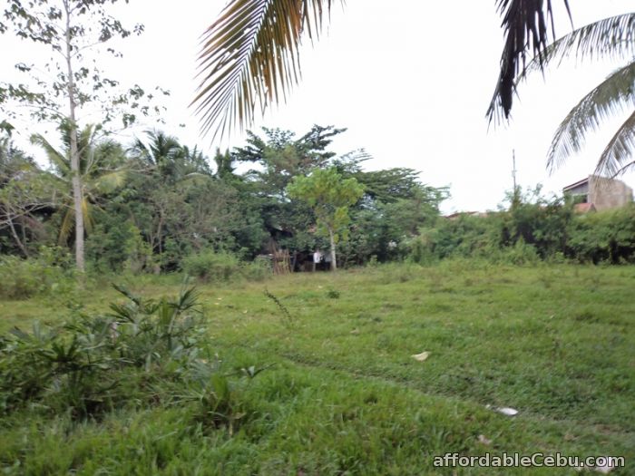 2nd picture of 400 sqm lot for sale in consolacion For Sale in Cebu, Philippines