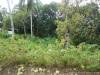 3,886 sqm lot for sale in sn roque liloan